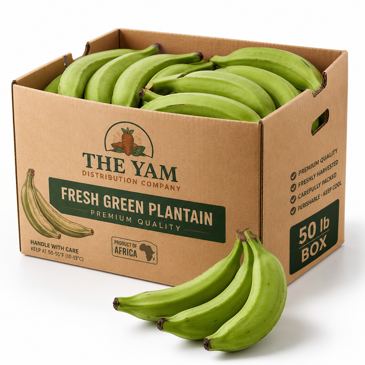 Fresh Green Plantain Box