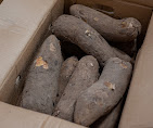 White Yam 2